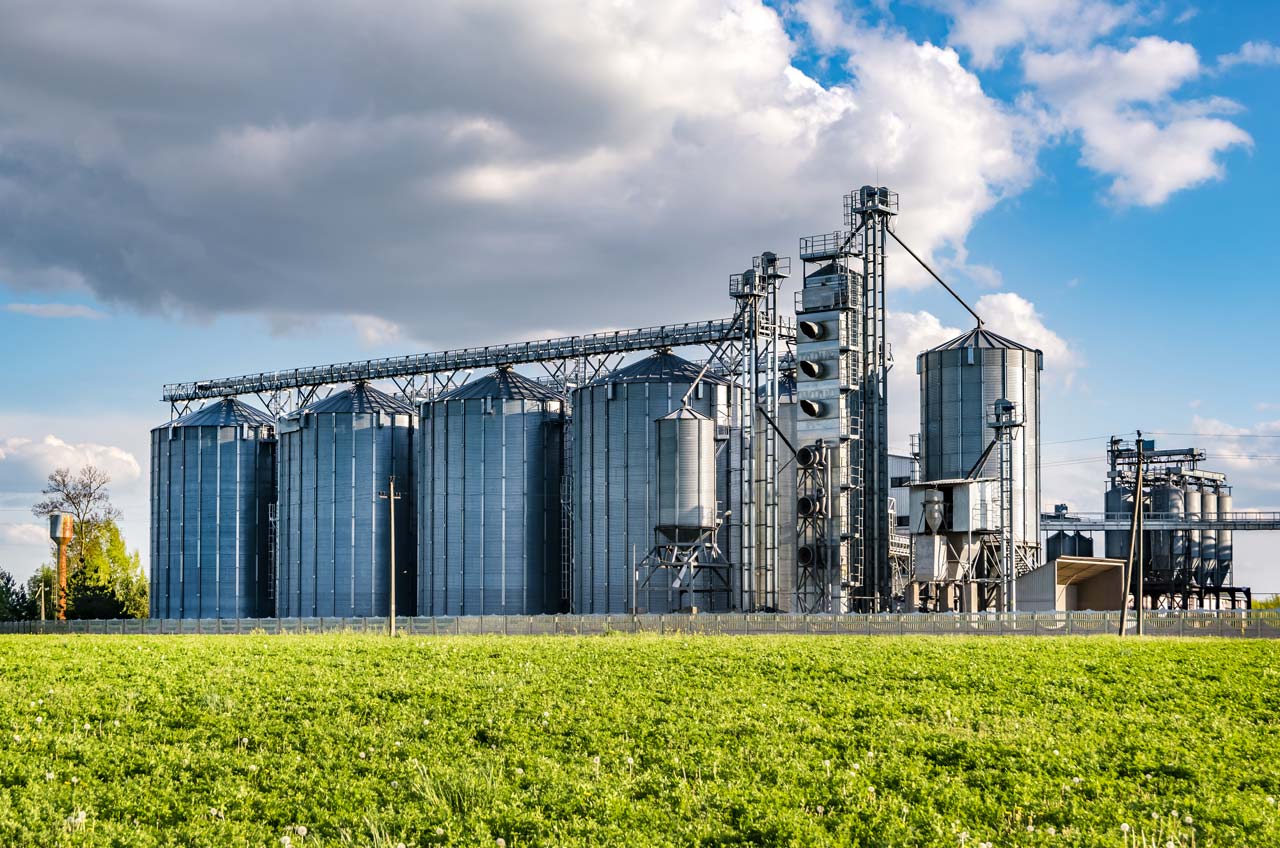 Sector agropecuario